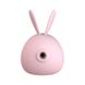 Вакуумный клиторальный стимулятор с вибрацией KisToy Miss KK Pink фото 2