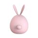 Вакуумный клиторальный стимулятор с вибрацией KisToy Miss KK Pink фото 3
