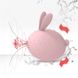 Вакуумний кліторальний стимулятор з вібрацією KisToy Miss KK Pink фото 9