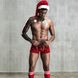 Новорічний чоловічий еротичний костюм Улюблений Санта фото 3
