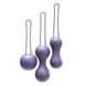 Набір вагінальних кульок Je Joue — Ami Purple, діаметр 3,8-3,3-2,7 см, вага 54-71-100гр фото 1