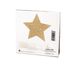 Пестіс — стікіні Bijoux Indiscrets — Flash Star Gold, наклейки на соски фото 3