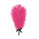 Романтичний набір Rianne S: Kit d'Amour: віброкуля, пір'їнка, маска, чохол-косметичка Black/Pink фото 3