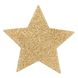 Пэстис - стикини Bijoux Indiscrets - Flash Star Gold, наклейки на соски фото 2