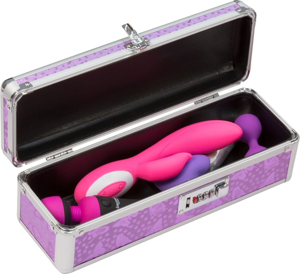 Кейс для зберігання секс-іграшок BMS Factory - The Toy Chest Lokable Vibrator Case з кодовим замком фото