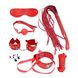 Набір MAI BDSM STARTER KIT Nº 75: батіг, кляп, наручники, маска, нашийник з повідцем, мотузка, затискачі фото 1