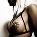 Пестіс з кристалів Bijoux Indiscrets — Mimi Black, прикраса на груди фото 2