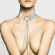 Украшение Bijoux Indiscrets Desir Metallique Collar - Silver фото 2