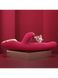 Вібратор-кролик з вакуумної стимуляцією і обертовим стволом Kistoy A-King Max Red фото 5