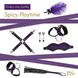 Подарунковий набір для BDSM RIANNE S — Kinky Me Softly Purple: 8 предметів для задоволення фото 2
